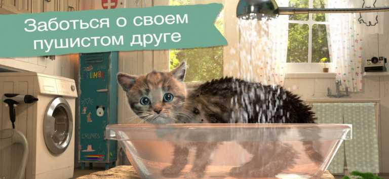 Little Kitten Adventures